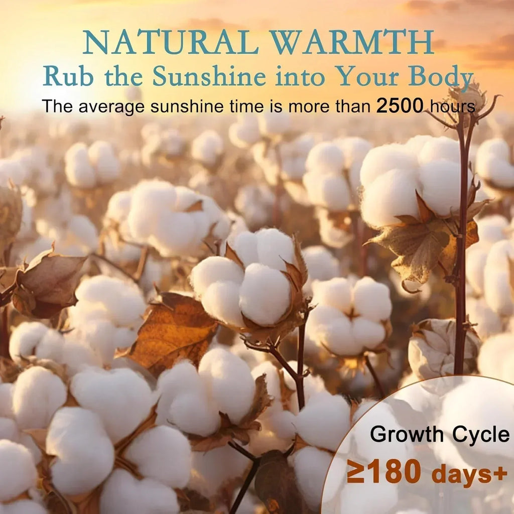 Breathable Thin Comforter Duvet Insert